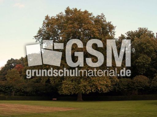 B-Herbststimmung 040.jpg